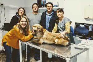 Ecografia Veterinaria Rosario