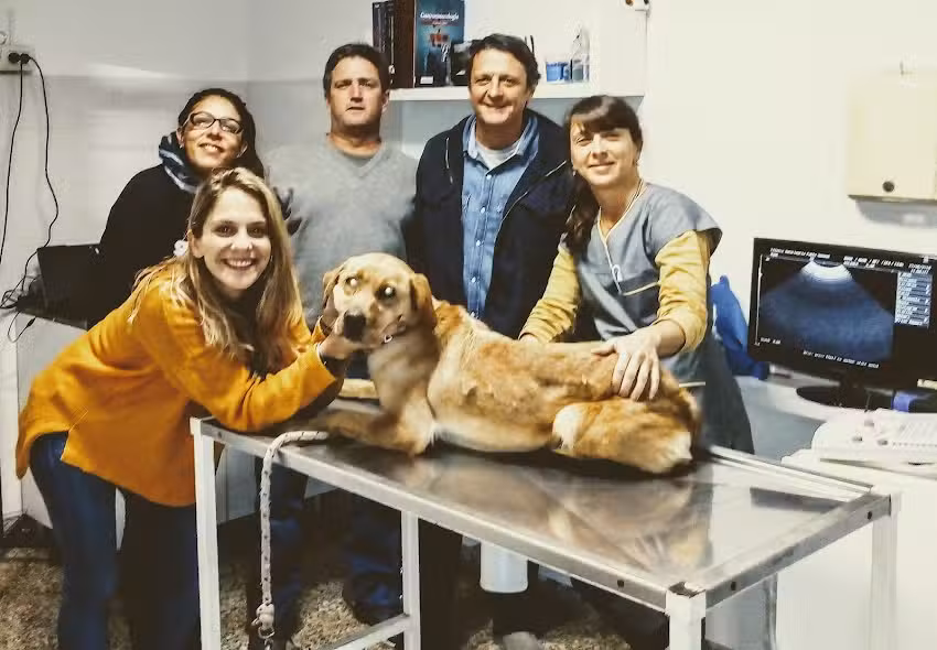 Ecografia Veterinaria Rosario