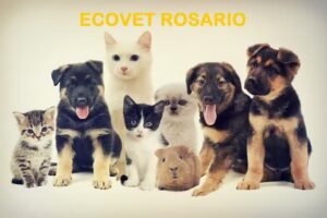 ECOVET ROSARIO