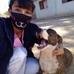 El Arca de No&eacute;