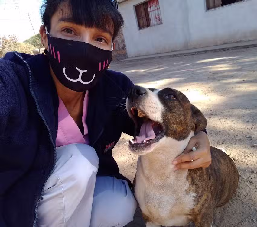 El Arca de No&eacute;