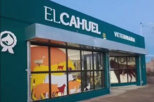 EL CAHUEL