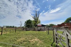 El Cimarrón SRL Consignataria de Hacienda