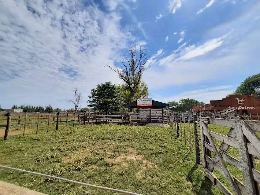 El Cimarr&oacute;n SRL Consignataria de Hacienda