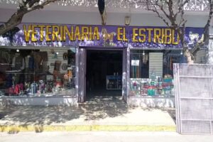 El Estribo