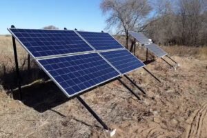 El Rodeo Veterinaria