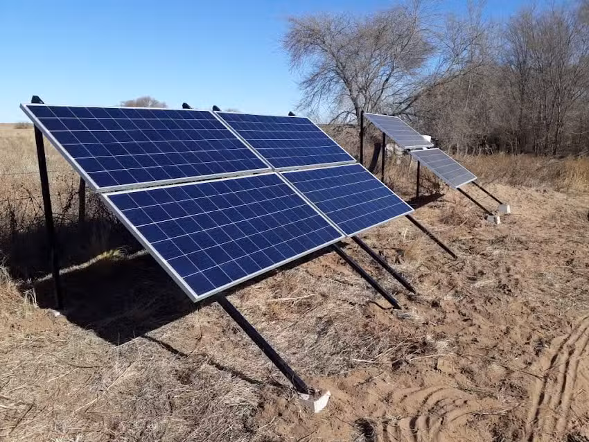 El Rodeo Veterinaria