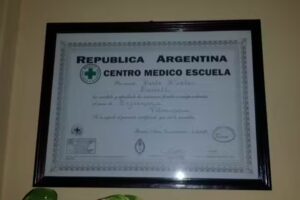 Enfermeria Veterinaria Felina.