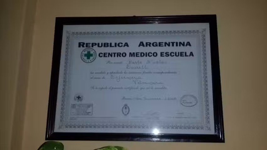 Enfermeria Veterinaria Felina.