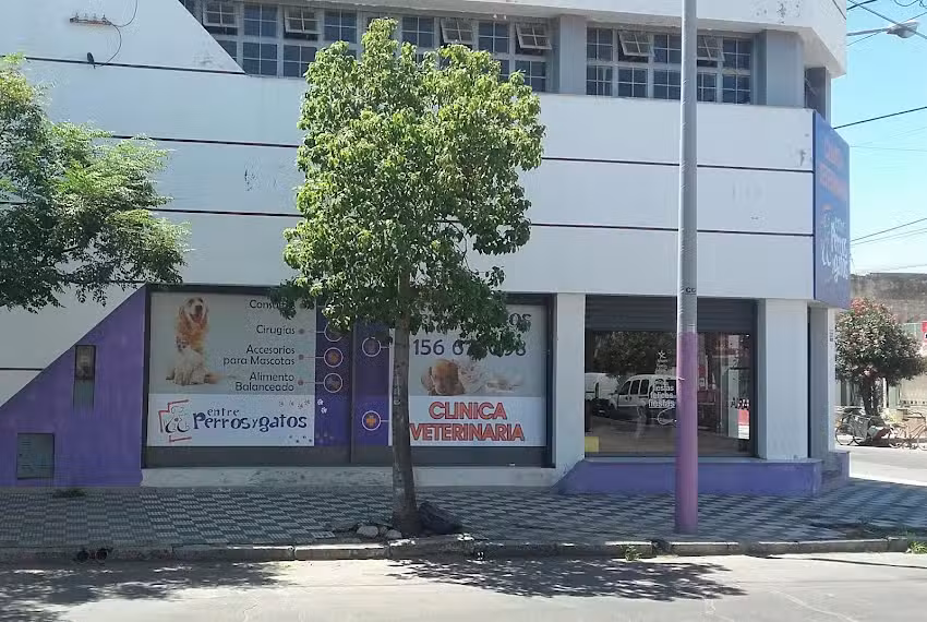 Entre Perros y Gatos