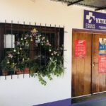 Equus | Cl&iacute;nica Veterinaria