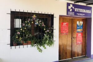 Equus | Cl&iacute;nica Veterinaria