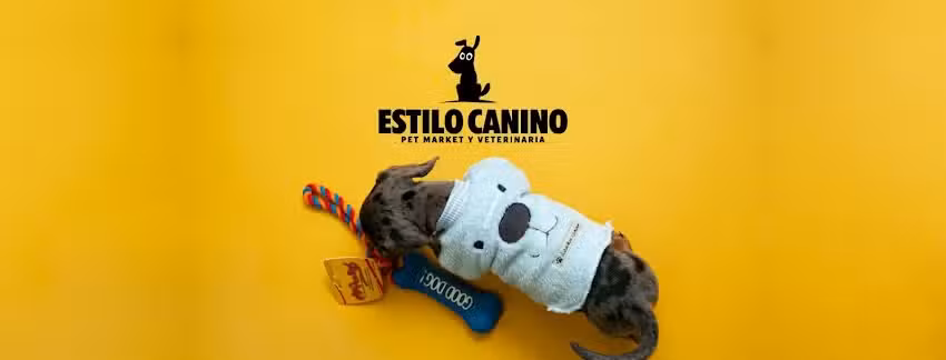 Estilo Canino BS AS