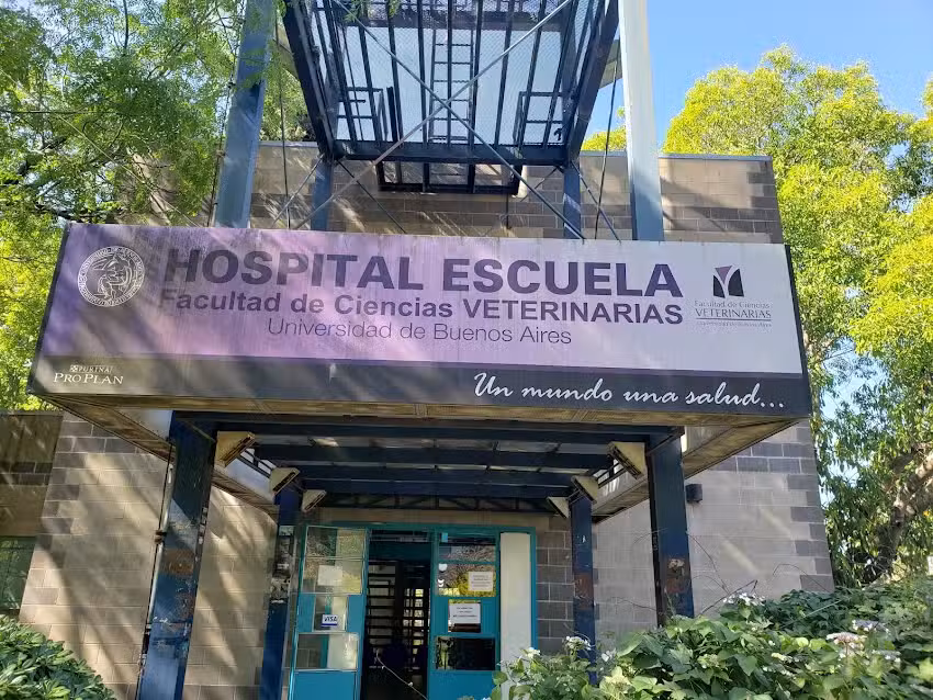 FCV &ndash; Hospital Escuela