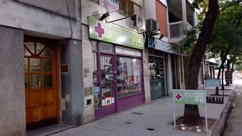 Fisioterapia Veterinaria