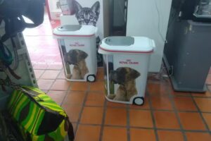 Flipper Veterinarias