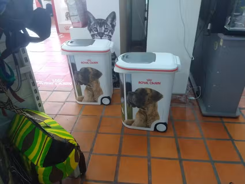 Flipper Veterinarias