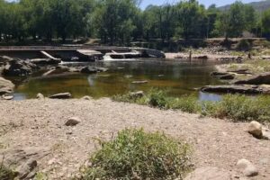 Forrajeria El Progreso Cosquin