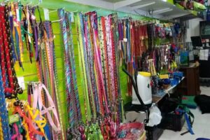 Full Mascotas Veterinaria