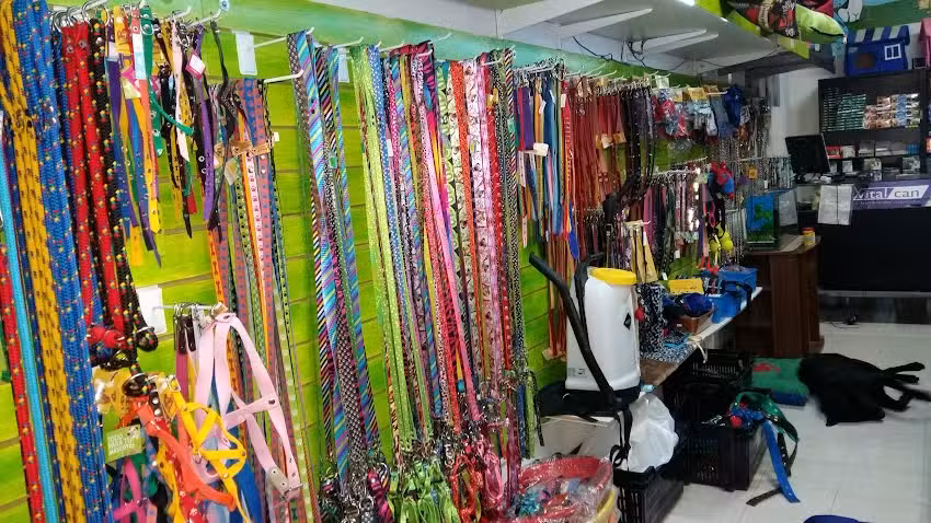 Full Mascotas Veterinaria