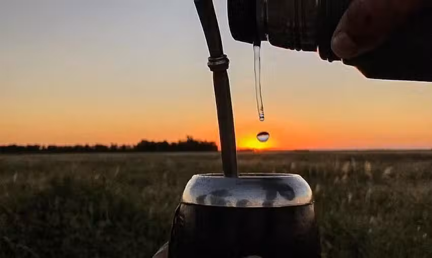FUNDACION GRAL GUIDO PARA LA FIEBRE AFTOSA