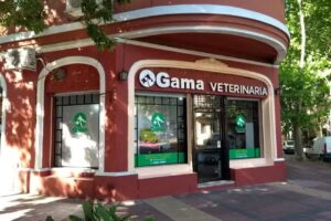 GAMA Veterinaria