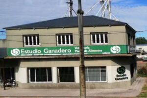 GP ESTUDIO GANADERO S.A.