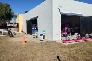 HOP ADIESTRAMIENTO CANINO