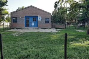 Hospital de Animales Grandes