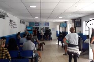 Hospital de Mascotas