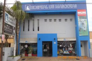 Hospital de Mascotas Endocrinologia