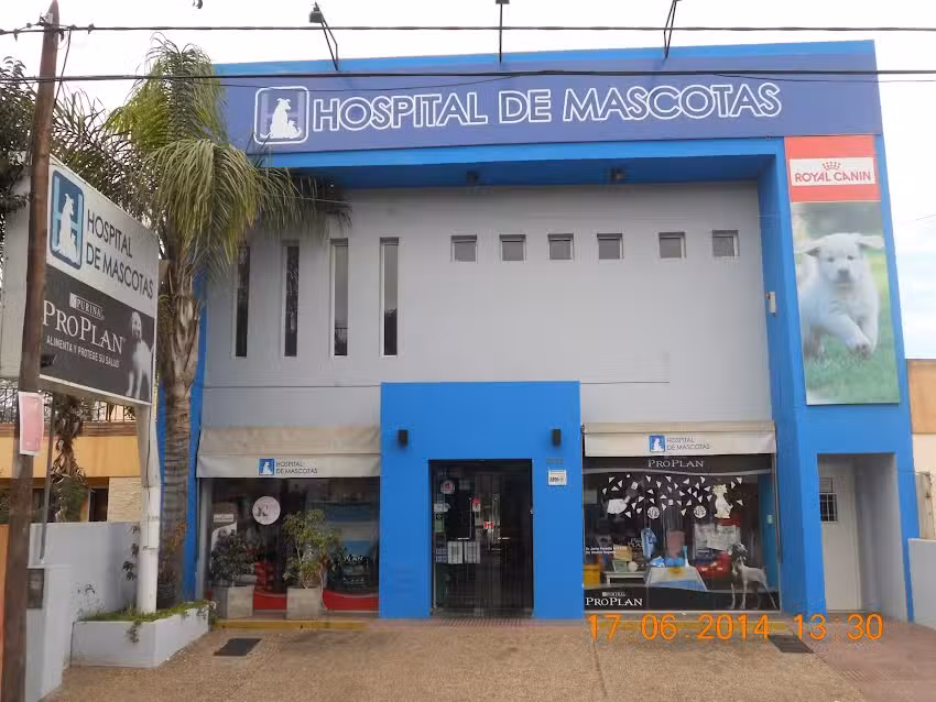 Hospital de Mascotas Endocrinologia