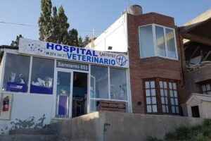 Hospital Veterinario