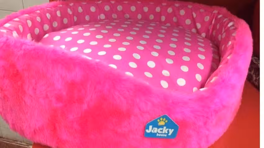 Hospital Veterinario Ciudadela &ndash; Cl&iacute;nica &ndash; Cirug&iacute;a &ndash; Especialidades