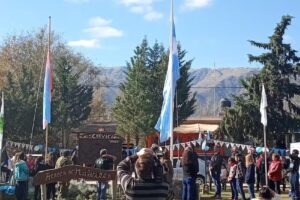 Hospital Veterinario Cuarto Creciente