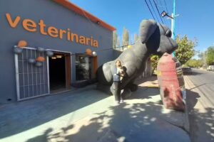 Hospital Veterinario Dr. Lucas Olivera