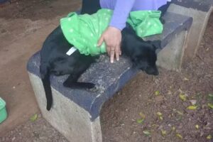 IMuSA 115 Posadas, Tel&eacute;fono Whatsapp, solo texto, no audio ni llamadas