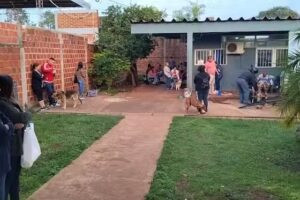 IMuSA Zaiman Posadas, Tel&eacute;fono Whatsapp, solo texto, no audio ni llamadas