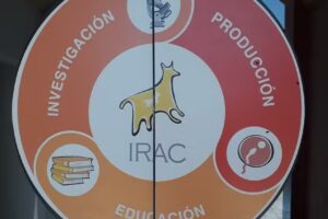 Irac-Biogen