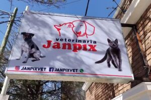 Janpix Veterinaria