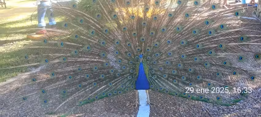 K&rsquo;MPA Veterinaria