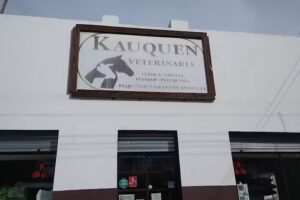 Kauquen Veterinaria