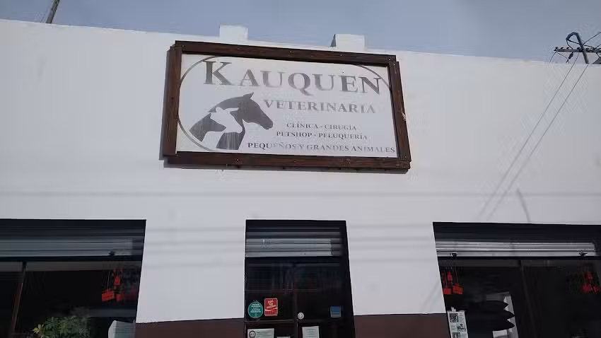 Kauquen Veterinaria