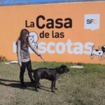 La Casa de las Mascotas
