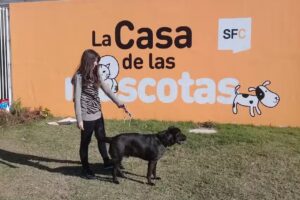 La Casa de las Mascotas