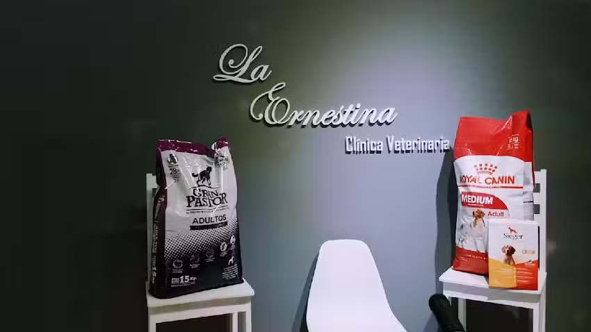La Ernestina Cl&iacute;nica Veterinaria