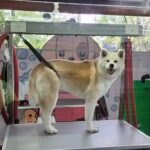 LA GRANJA &middot; Veterinaria & Pet Shop