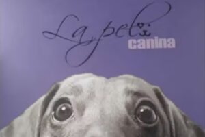 La Pelu Canina