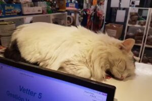 La Reserva Veterinaria