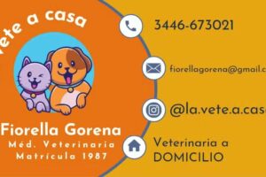 La Vete a Casa Zona Sur